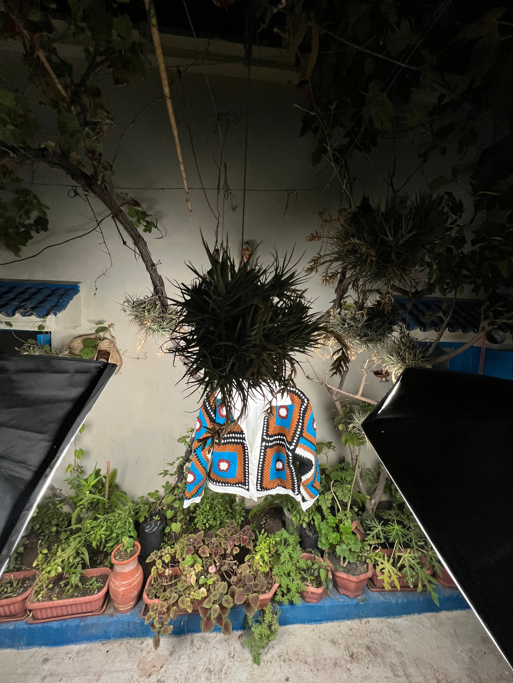 Midnight Oasis Jacket