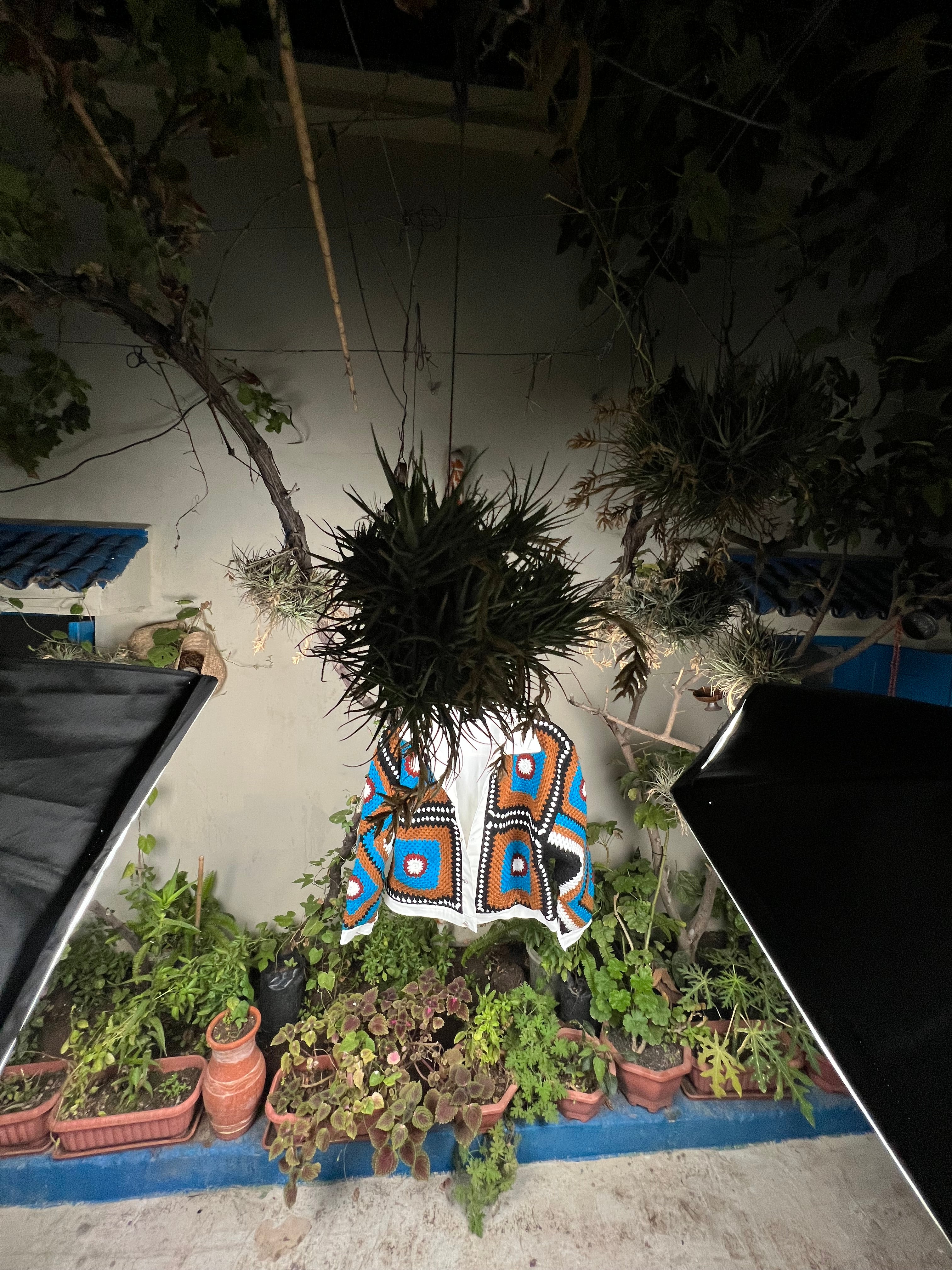 Midnight Oasis Jacket