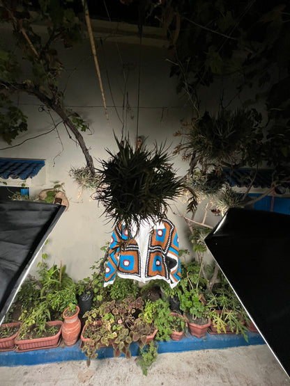 Midnight Oasis Jacket